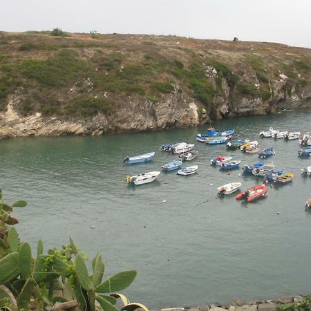 Casa De Mar @ Porto Covo Lejlighed Eksteriør billede